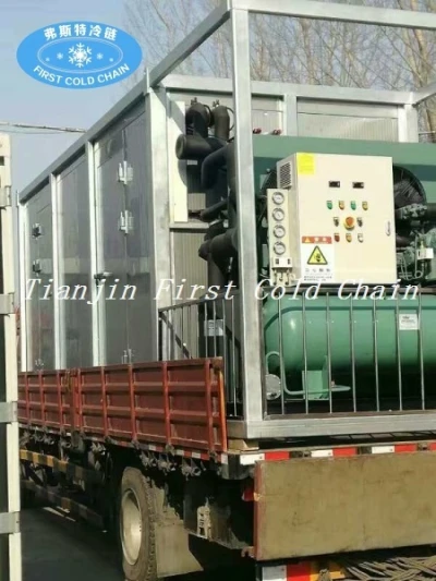 Congelador rápido criogénico de alta calidad de 4000 Kg / 8 horas