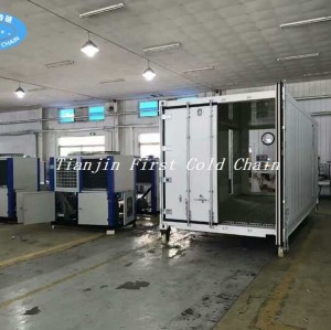 China High Quality Moving blast freezer / container freezer for food factory