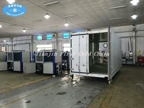 contenedor de almacenamiento sala fría congelada para carne y pescado customerized