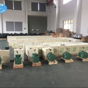 Refrigeration compressor for cold room from China first cold chain
