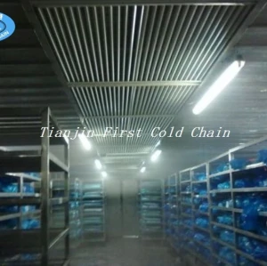 High quality Frozen Meat Food Thawing Room / Machine