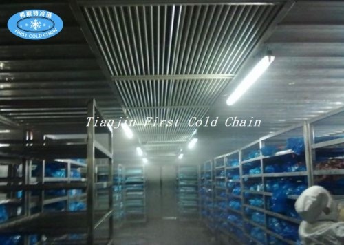 High quality Frozen Meat Food Thawing Room / Machine