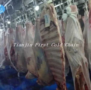 Excellent Frozen Chicken Meat Thawing Machine Meat Unfreezing Machine