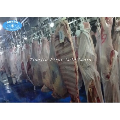 Excellent Frozen Chicken Meat Thawing Machine Meat Unfreezing Machine