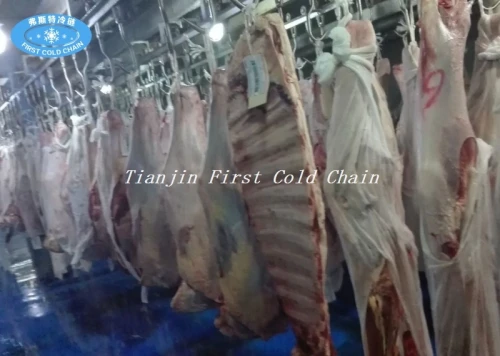 Excelente congelado carne de pollo descongelación máquina carne descongelación máquina