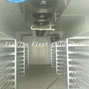 Low Temperature High Humidity Air Thawing Equipment  for Frozen Pork