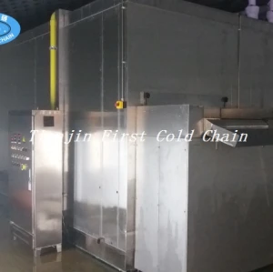 máquina de congelación rápida fluidizada y IQF Blast Freezer Freezing Fresh Fruit and vegetable