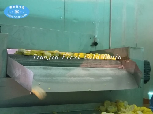 China first cold chain full automatic IQF machine 1500kg/h for frozen Fires