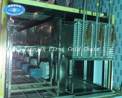 Cámara de fluidización Quick Freezer / IQF túnel de congelación rápida
