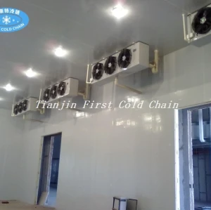 Serie DJ de baja temperatura, enfriador de aire / evaporador para refrigeración, cámara frigorífica congelada