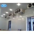 Serie DJ de baja temperatura, enfriador de aire / evaporador para refrigeración, cámara frigorífica congelada