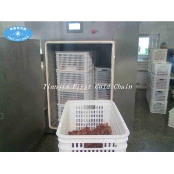 Vacuum Pre Cooling Machine for Fresh vegetable Fruit for Food Processing