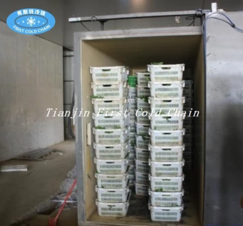 Máquina eficaz de pre-enfriamiento al vacío para vegetales y frutas / pre-enfriadores