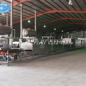 Efficient Frozen French Fries processing line with IQF Freezer - Wholesale Distributor