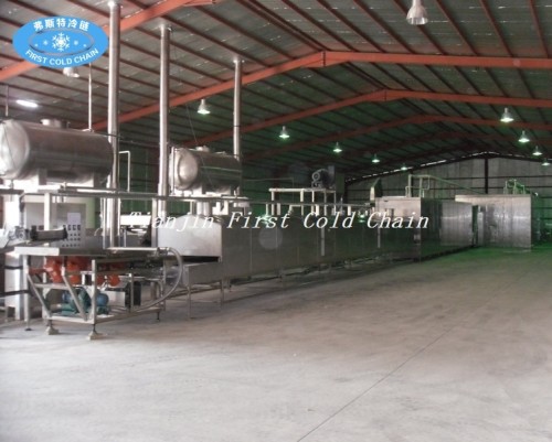Cadena de producción congelada semiautomática de las patatas fritas de Hight Quality para China