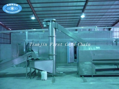 Efficient Frozen French Fries processing line with IQF Freezer - Wholesale Distributor