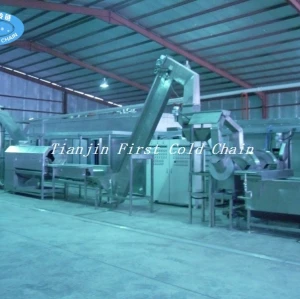 China first cold chain Full automation 500kg/h Frozen french fries production line