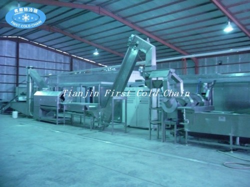 Full automatic Fluidized IQF freezers FPL1000 Frozen French Fries Processing line for fries process