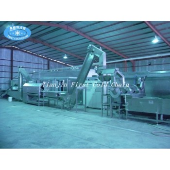 China first cold chain Full automation 500kg/h Frozen french fries production line China first cold chain Full automation 500kg/h Frozen french fries production line