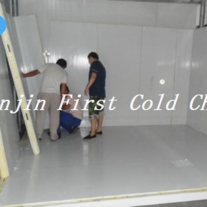 PU Polyurethane Insulation Cold Room Sandwich Panel for Fruit Storage