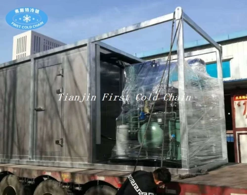 contenedor de almacenamiento sala fría congelada para carne y pescado customerized