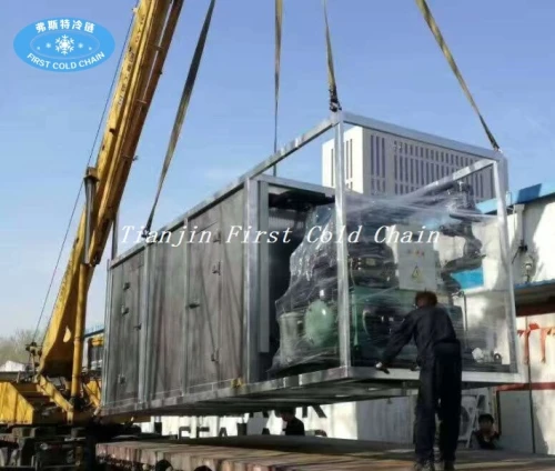 contenedor de almacenamiento sala fría congelada para carne y pescado customerized