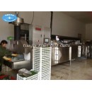 Бытовая промышленная морозильная камера