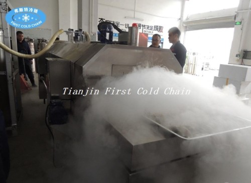 Low temperature -196 ℃ liquid nitrogen blast freezer/flash freezer for abalone freeze