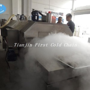 Low temperature -196 ℃ liquid nitrogen blast freezer/flash freezer for abalone freeze