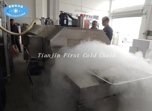 Low temperature -196 ℃ liquid nitrogen blast freezer/flash freezer for seafood