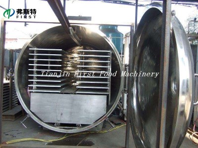 Food Vegetable and Fruit processing machine for Vacuum Freeze Dry Machinery