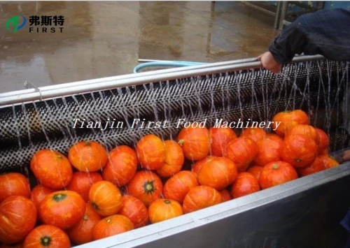 Factory Price Automatic Stainless Steel Potato Washing and Peeling Machine