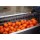 Peladora de patatas comercial / Peladora de tomates