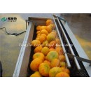 Commercial Potato Peeler Machine/Tomato Peeling machine