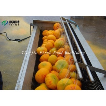 Commercial Potato Peeler Machine/Tomato Peeling machine