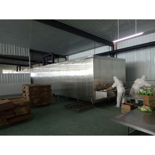 Тоннель Quick Freezer 1300KG / H экспорт Марокко