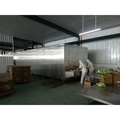 China FST factory supply Cost-effective 1000kg/h Tunnel freezer for fish freeze