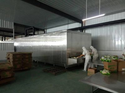 Approvisionnement d'usine de la Chine congélateur rapide rentable de tunnel 1000kg / h pour le poisson