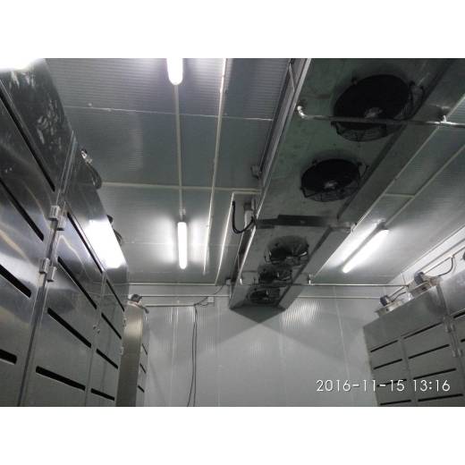 Introduction à la décongélation