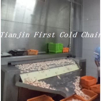 First cold chain High quality 500kg/h Tunnel Freezer / quick freezer for IQF shrimp