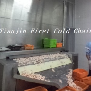 First cold chain High quality 500kg/h Tunnel Freezer / quick freezer for IQF shrimp