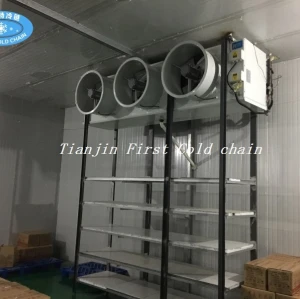 Suministro de China Hight calidad Almacenamiento en frío / Habitación para pescado o carne