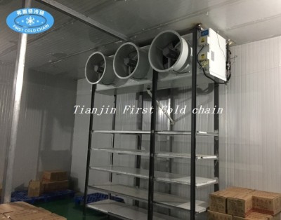 Suministro de China Hight calidad Almacenamiento en frío / Habitación para pescado o carne