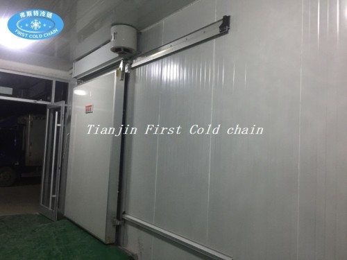 China supply cost effective quality Cold Storage / Cold Room for fish or meat food