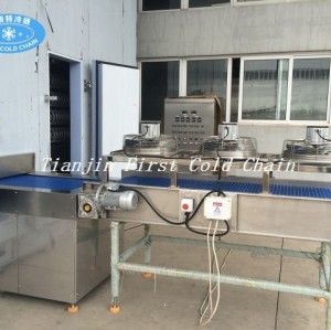 China full automatic Spiral Freezer 500kg/h For Dumplings
