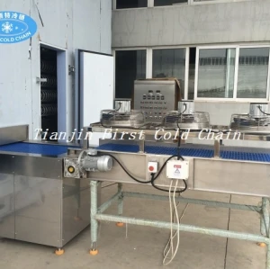 China full automatic Spiral Freezer 500kg/h For Dumplings