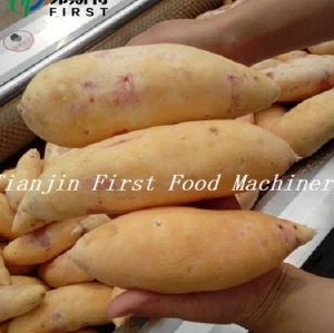 Vegetable Fruit Ginger Potato Brush Roller Peeling washing Machinery