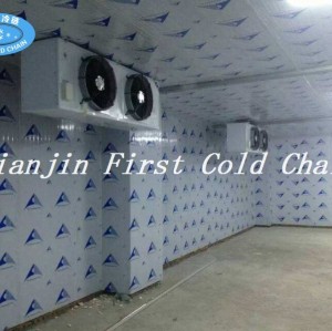 Китайская настройка Холодная комната / Хранение / горячая продажа Холодильное хранение для овощных фруктов