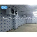 Personalización de China Cámara frigorífica / Almacenamiento / venta caliente Almacenamiento en frío para fruta vegetal