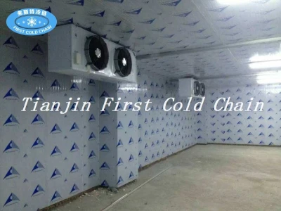 Personalización de China Cámara frigorífica / Almacenamiento / venta caliente Almacenamiento en frío para fruta vegetal
